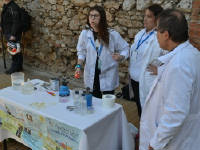 Click for larger image.