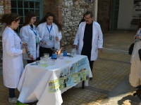 Click for larger image.