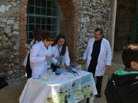 Click for larger image.