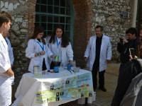 Click for larger image.