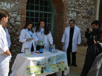 Click for larger image.