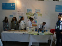 Click for larger image.