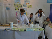 Click for larger image.