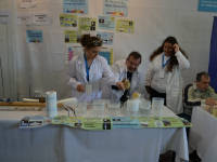 Click for larger image.