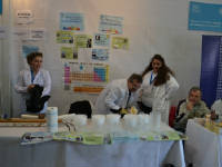 Click for larger image.