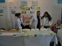 Click for larger image.