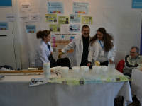 Click for larger image.