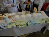 Click for larger image.