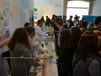 Click for larger image.