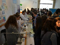 Click for larger image.