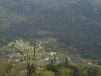 Click for larger image.