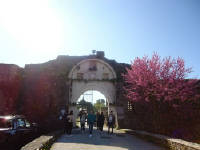 Click for larger image.