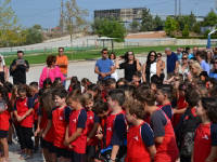 Click for larger image.