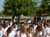 Click for larger image.