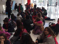 Click for larger image.