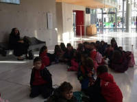 Click for larger image.