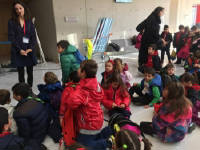 Click for larger image.