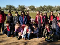 Click for larger image.