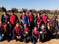 Click for larger image.