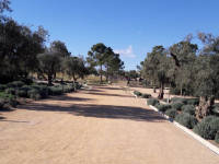 Click for larger image.