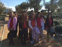 Click for larger image.