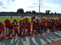 Click for larger image.