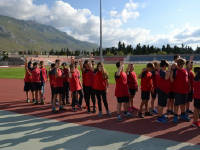 Click for larger image.