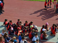 Click for larger image.