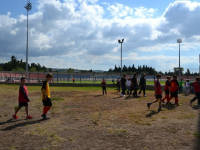 Click for larger image.