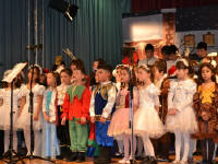 Click for larger image.