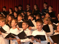 Click for larger image.