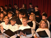 Click for larger image.