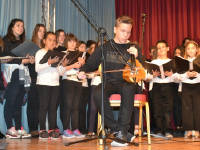 Click for larger image.