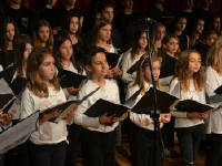 Click for larger image.