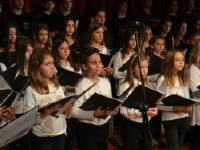 Click for larger image.