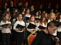 Click for larger image.