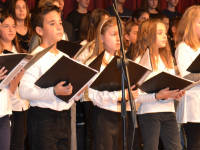 Click for larger image.