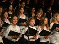 Click for larger image.