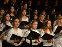 Click for larger image.