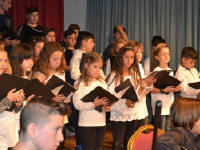 Click for larger image.