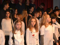 Click for larger image.