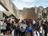 Click for larger image.