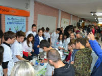 Click for larger image.