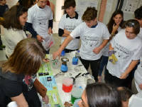 Click for larger image.