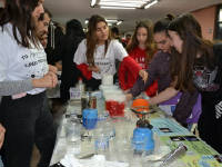 Click for larger image.