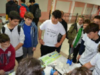 Click for larger image.