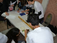 Click for larger image.