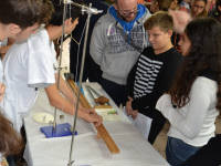 Click for larger image.