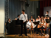 Click for larger image.