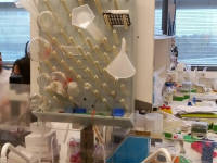 Click for larger image.